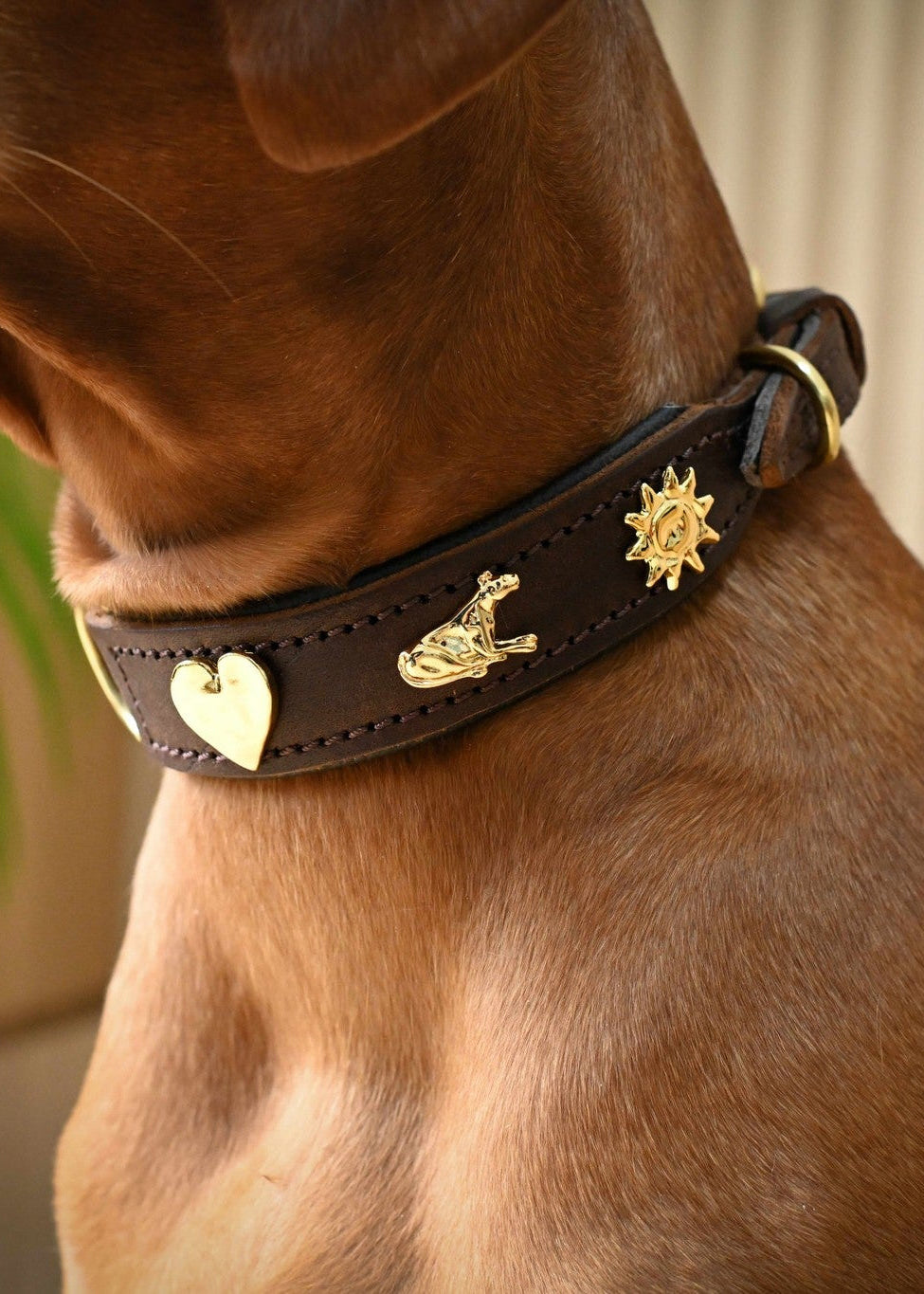 Dog Collar – Brown